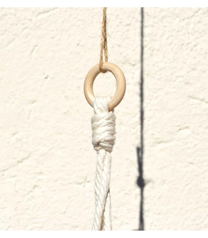 Comprar Planta de aire tillandsia con soporte Pingente de estrutura gant