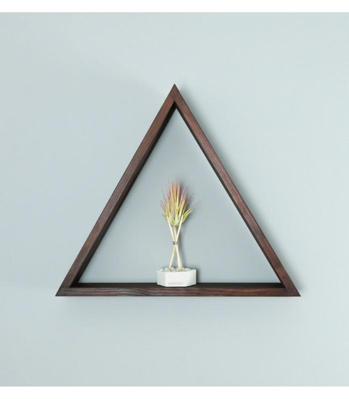 Comprar Planta de aire tillandsia con soporte Étagères tri angle mural