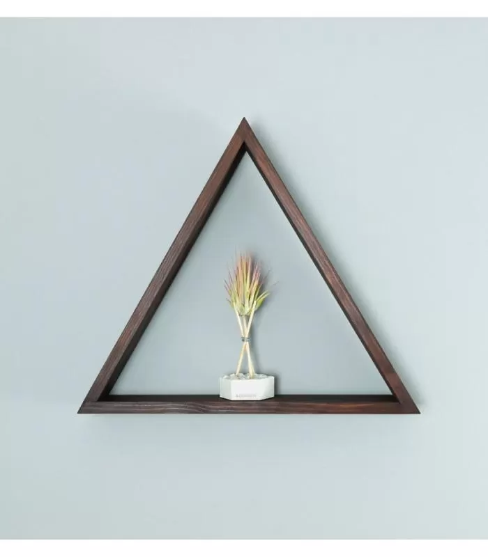 Comprar Planta de aire tillandsia con soporte Étagères tri angle mural