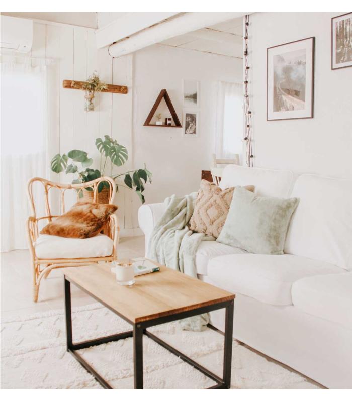 Comprar Planta de aire tillandsia con soporte Estantería triángulo de pared