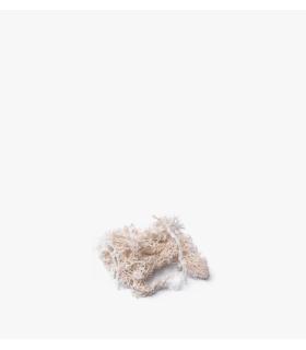 Comprar Planta de aire tillandsia con soporte Musgo decorativo para terrário