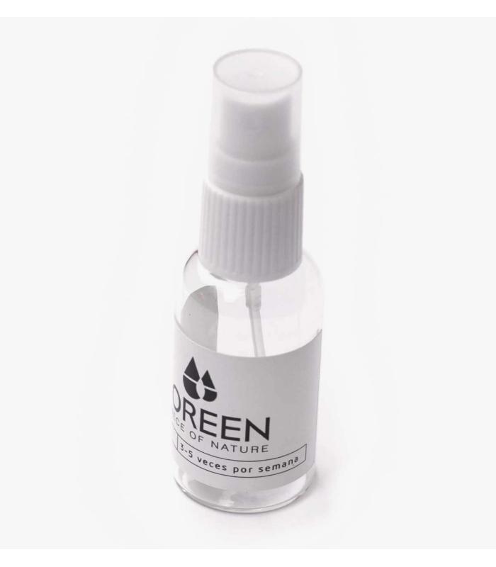 Comprar Planta de aire tillandsia con soporte Pulverizador de agua