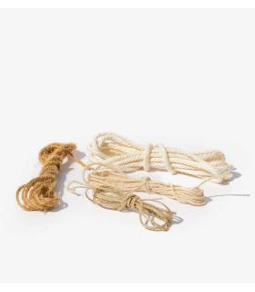 Comprar Planta de aire tillandsia con soporte Cuerda natural