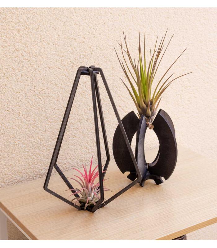 Comprar Planta de aire tillandsia con soporte Colgante Vita de madera