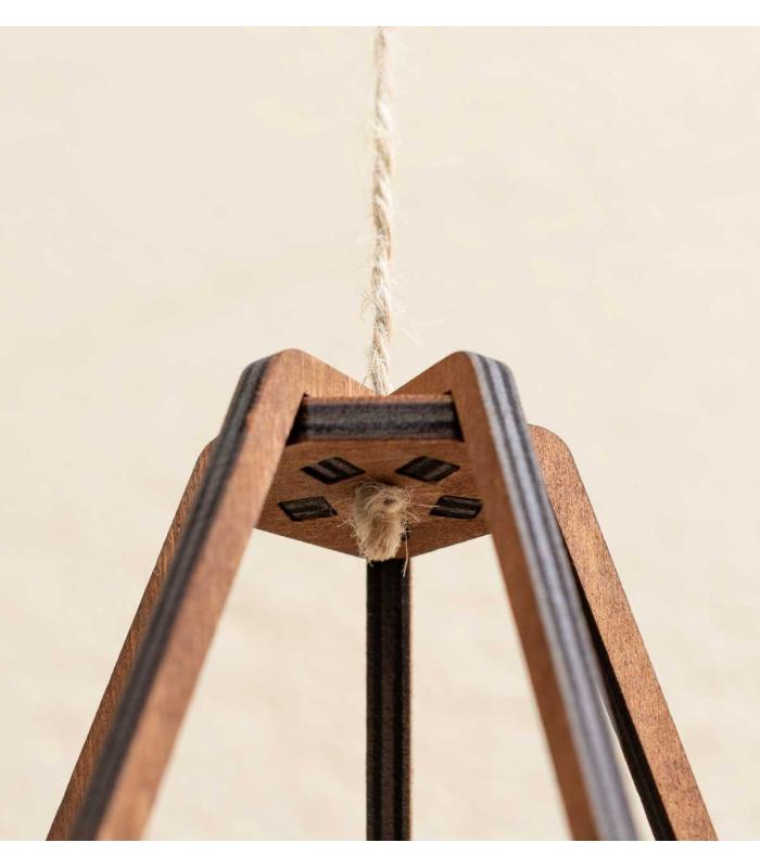 Comprar Planta de aire tillandsia con soporte Vita-Anhänger aus Holz