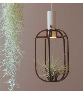 Comprar Planta de aire tillandsia con soporte Pingente de Phi de madeira com luz