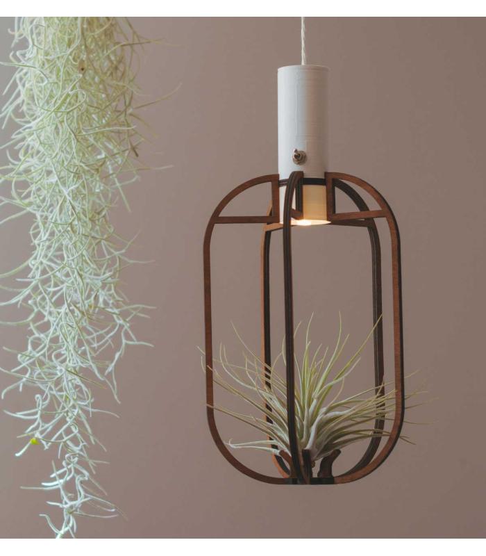 Comprar Planta de aire tillandsia con soporte Pingente de Phi de madeira com luz