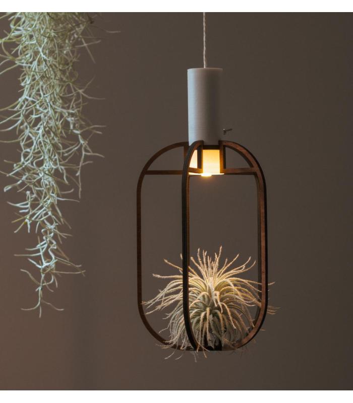 Comprar Planta de aire tillandsia con soporte Pingente de Phi de madeira com luz