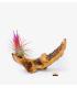 Comprar Planta de aire tillandsia con soporte Racine d’olive