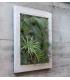 Comprar Planta de aire tillandsia con soporte Jardín vertical cuadrado 90cm