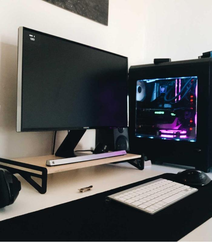 Comprar Planta de aire tillandsia con soporte Supporto monitor computer