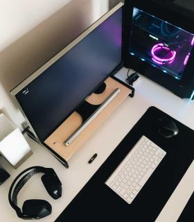 Comprar Planta de aire tillandsia con soporte Supporto monitor computer