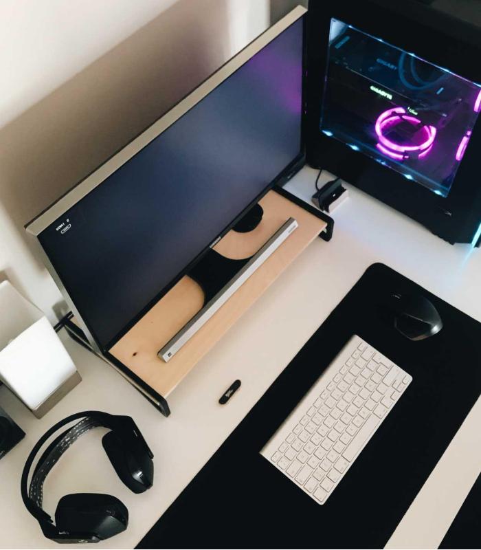 Comprar Planta de aire tillandsia con soporte Supporto monitor computer