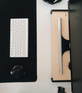 Comprar Planta de aire tillandsia con soporte Unterstützung von Computermonitoren