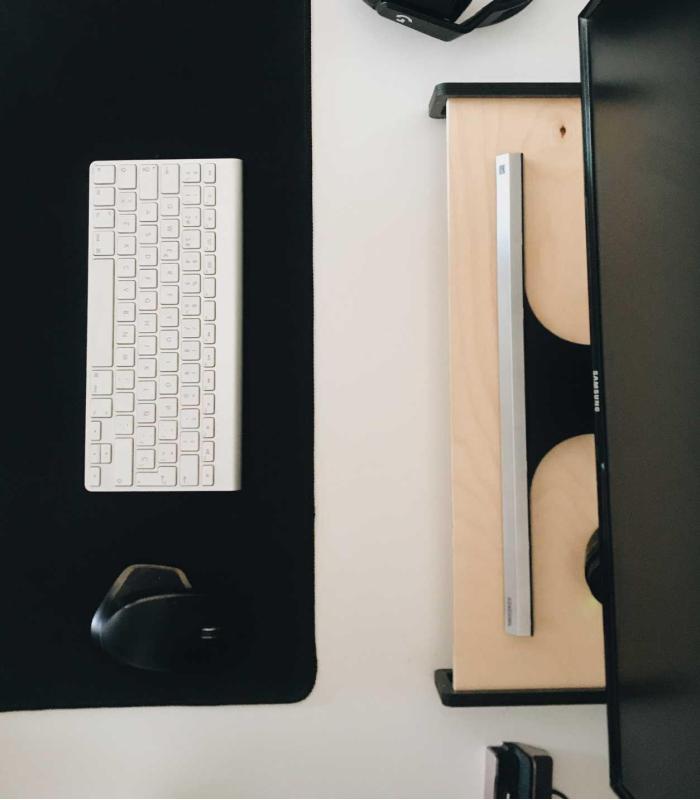 Comprar Planta de aire tillandsia con soporte Supporto monitor computer