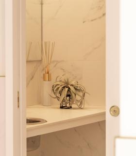 Comprar Planta de aire tillandsia con soporte Soporte Gab de madera