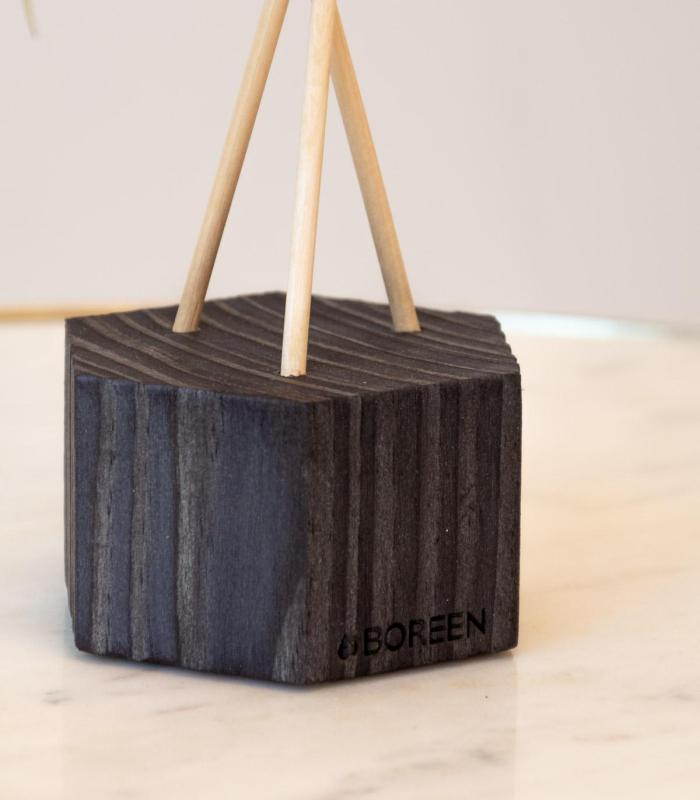 Comprar Planta de aire tillandsia con soporte Wooden hexagon with rods