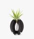 Comprar Planta de aire tillandsia con soporte Support de Kapa en bois