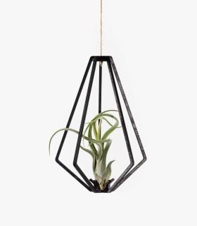 Comprar Planta de aire tillandsia con soporte Ciondolo in Vita in legno
