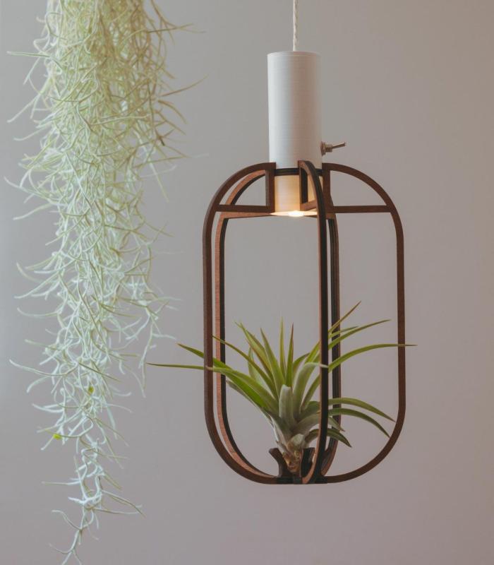 Comprar Planta de aire tillandsia con soporte Pendentif en Phi en bois avec lumière