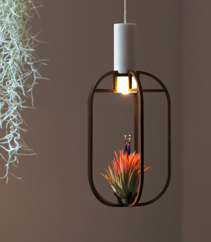 Comprar Planta de aire tillandsia con soporte Colgante Phi de madera con luz