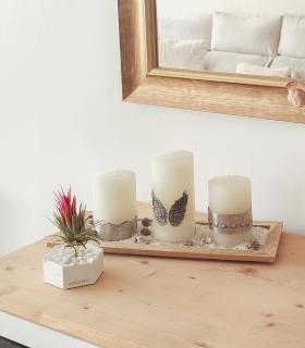 Comprar Planta de aire tillandsia con soporte Hexagone de ciment avec pierres blanches et usine de Var