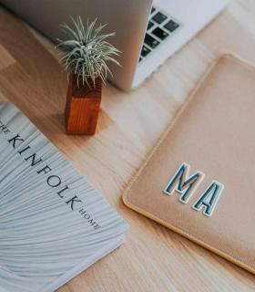 Comprar Planta de aire tillandsia con soporte Holzleiste 45º und Pflanze Scap