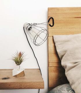 Comprar Planta de aire tillandsia con soporte Cement hexagon, white stones with gold corner and Scap plant