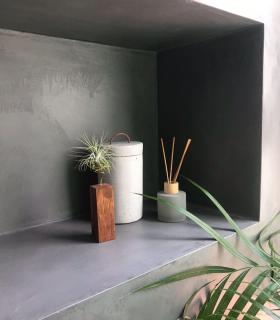 Comprar Planta de aire tillandsia con soporte Latte de bois carrée 10cm et plante Scap