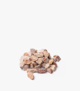 Comprar Planta de aire tillandsia con soporte Pedras decorativas para terrário