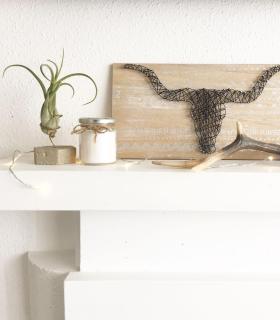 Comprar Planta de aire tillandsia con soporte Hexágono de concreto com planta Cam