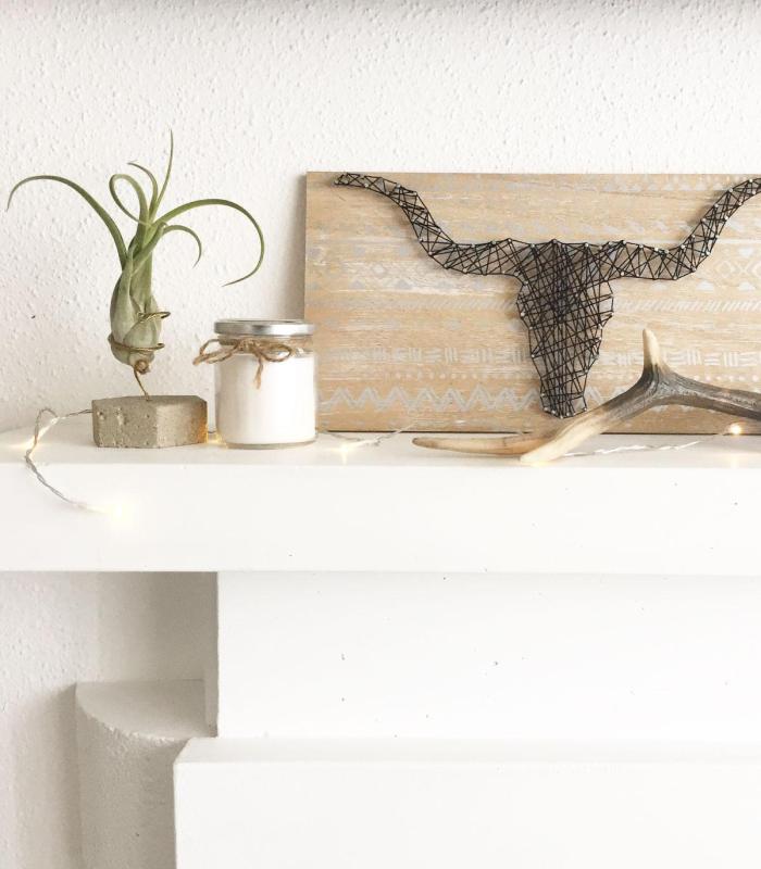 Comprar Planta de aire tillandsia con soporte Sechseck aus Beton und Pflanze Cam