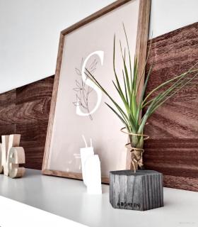 Comprar Planta de aire tillandsia con soporte Hexágono de madeira em tom de cinzae planta Tri