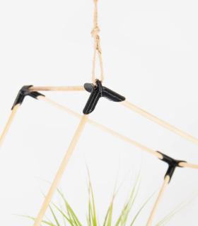 Comprar Planta de aire tillandsia con soporte Cube wooden pendant