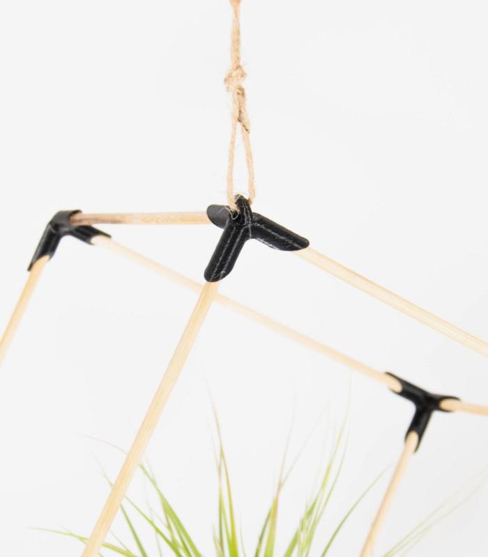 Comprar Planta de aire tillandsia con soporte Pingente de madeira cubo