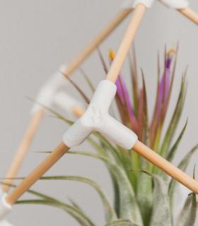 Comprar Planta de aire tillandsia con soporte Cube wooden pendant