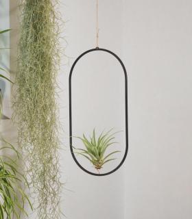 Comprar Planta de aire tillandsia con soporte Coliseum wooden pendant