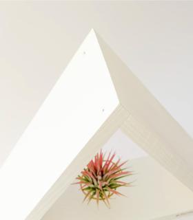 Comprar Planta de aire tillandsia con soporte Holzständer Ikon