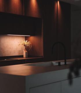 Comprar Planta de aire tillandsia con soporte Latte de bois carrée 45º XL