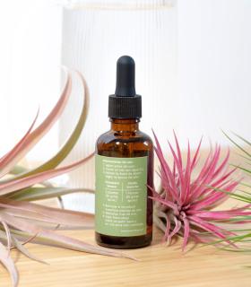 Acheter de l'engrais pour Tillandsia Air Plant