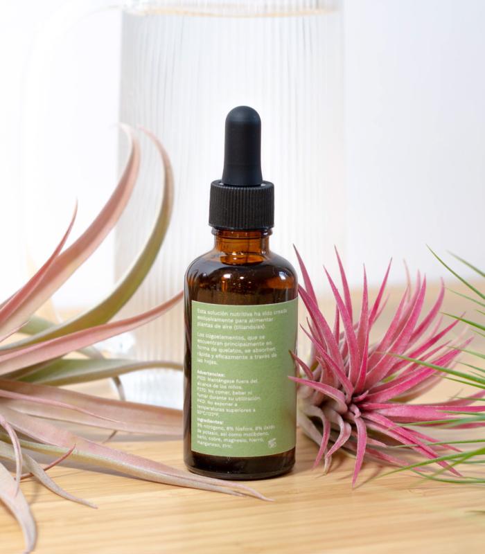 Acheter de l'engrais pour Tillandsia Air Plant