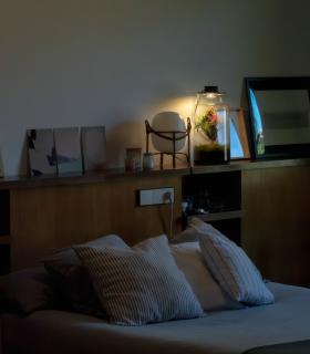 Comprar Planta de aire tillandsia con soporte Terrarium avec des plantes aériennes | Jardin éternel