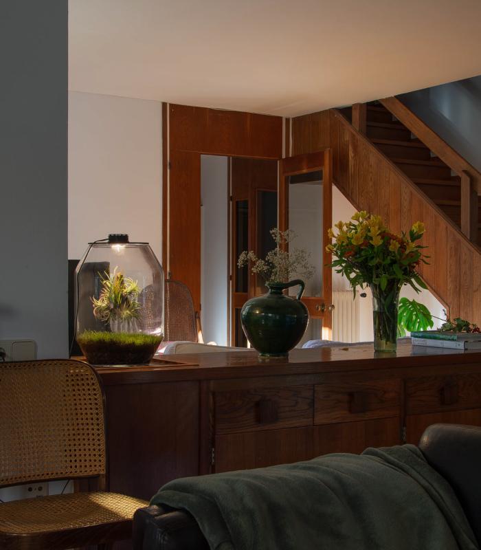 Comprar Planta de aire tillandsia con soporte Terrário com plantas aéreas | Jardim eterno Niki