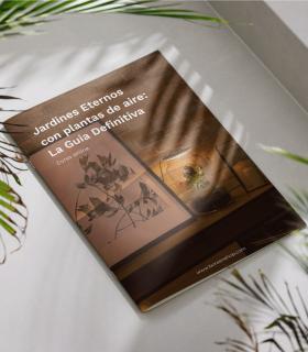 Curso_Jardines Eternos con plantas de aire_La Guia Definitiva
