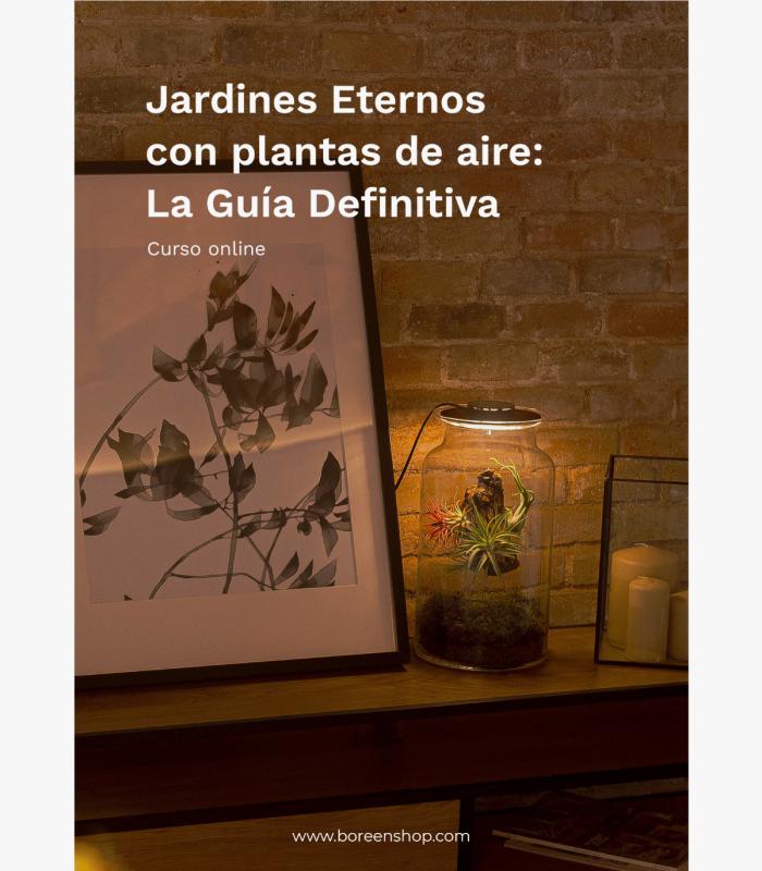 Curso-tutorial_como hacer un jardín eterno con plantas de aire_La Guia Definitiva