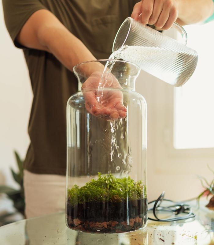 WorkShop: Crea tu propio Jardín eterno