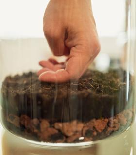 WorkShop: Crea tu propio Jardín eterno