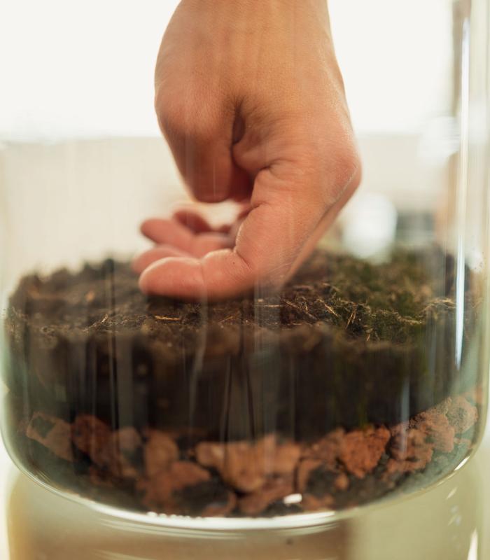 WorkShop: Crea tu propio Jardín eterno