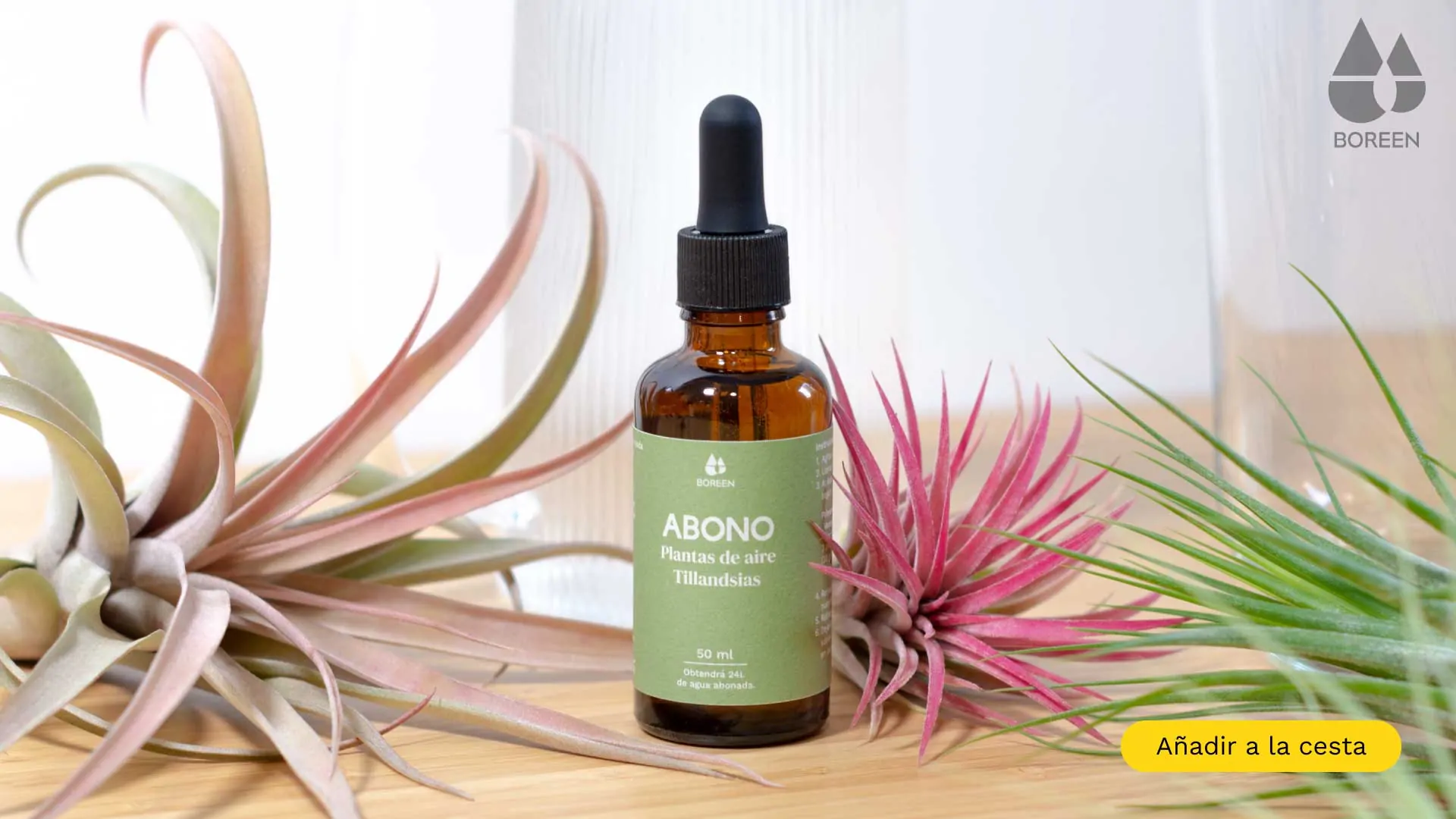 Fertilissant pour plantes aériennes Tillandsias